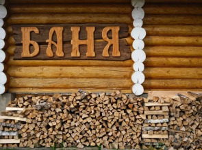 Гостевой дом Дикий Гусь