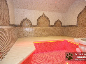 Отель Багира