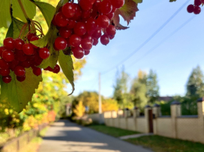 Гостевой дом Башня в Царицыно