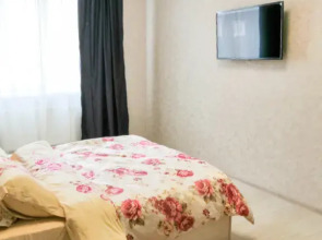 Апартаменты на Спортивной