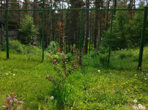 Гостевой Дом PANORAMA ALTAI