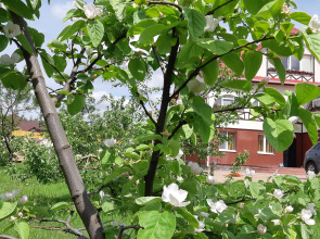 Гостевой дом на Есенина