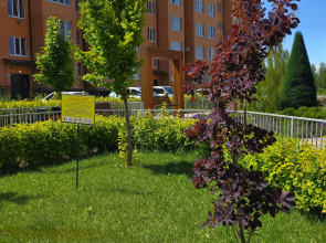 Квартира Класса Люкс с Прекрасным Видом на Горы