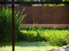 Гостевой дом АльтаРио