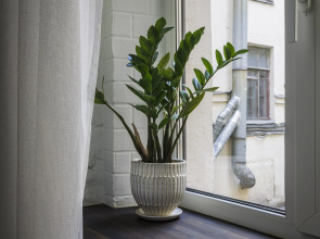 Апартаменты с собственной ванной