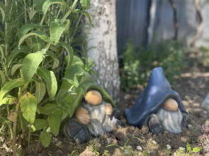 Гостевой дом Солнце