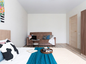 Апартаменты семейные Vetka Home на Красном проспекте