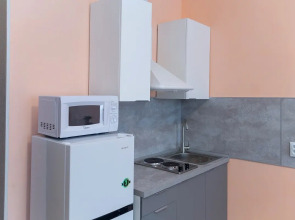 Апартаменты комфортные в новом доме на Шафиева 44/1