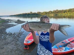 Глэмпинг Глэмпгеокупол "Домик на Оке" Таруса