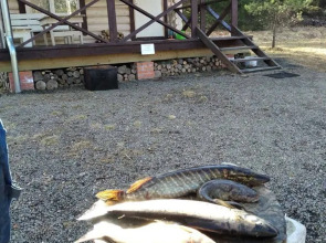 Частный дом РУСЬ