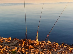 Апартаменты Отдых на Селигере турбаза Чайка