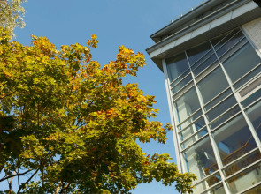 Отель К-Визит Токсово