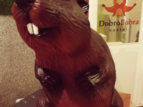 Хостел Добро Бобра