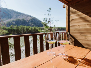 Гостевой дом АЛТАЙ БЕРЕГ ИП Рожнова Л.В.