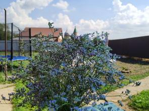 Частный Дом Любимая Дача