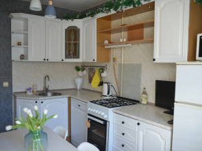 Квартира в Центре Нижнего Новгорода