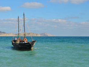 База отдыха Younge Art Camp