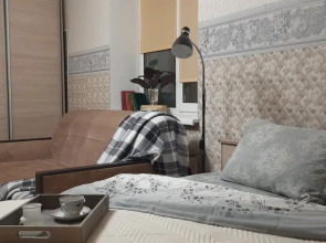 Квартира на набережной Александра Невского