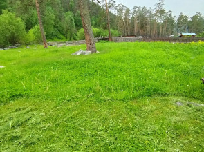 Частный дом Глубинка Алтая