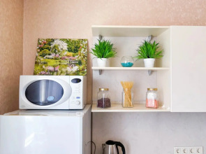 Апартаменты Татьянин дом улица Павла Морозова,89 (1)