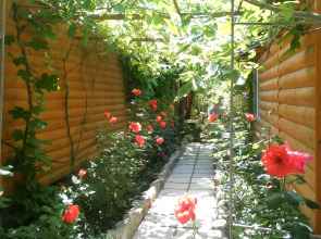 База Отдыха Солнечное