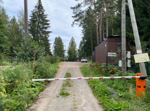 Гостевой дом Green Forest у Игоры