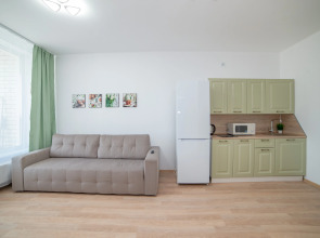 Апартаменты Сурикова 63