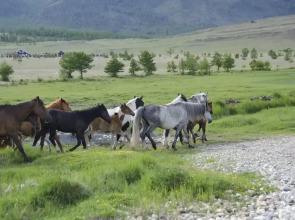 Гостевой дом Мухтуя