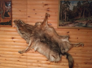 Гостевой дом Агроусадьба у Сан Саныча