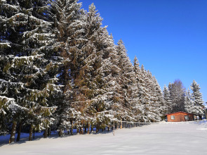 Горнолыжная Туристическая База Заборовье