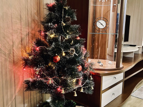 Квартира на Некрасова с Видом на Музей