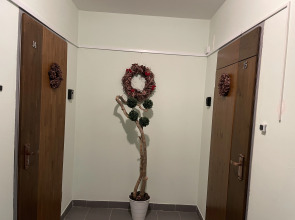 Апартаменты Newstory Plus