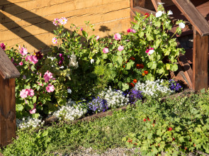 Отель Даурия