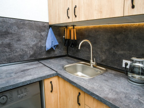 Апартаменты DomVistel Titova 232/3 Apart