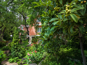 Парк-Отель Родос