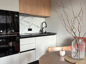 Апартаменты стильные с дизайнерским ремонтом вместимостью до 4 гостей 10 минут до центра города