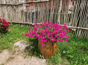 Гостиница Имидж