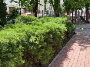 Мини-отель Толедо