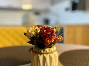 Апартаменты Пионерская 5