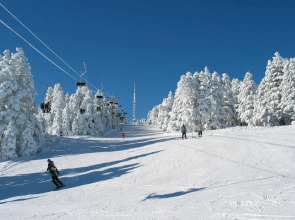 Отель Trendlife Hotels Uludag