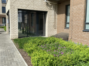 Апартаменты Лучи