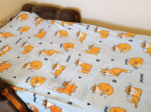 Апартаменты Центр, красивый вид на озеро, 9 этаж, лифт