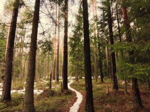 Коттедж Вилла ЭЙВА