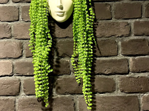 Гостевой дом Иван-дача