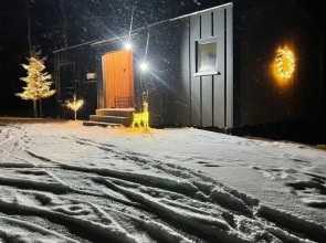 Частный дом Баpнxауc в Сосновом Бору