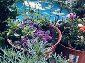 Гостевой дом Сказка инн