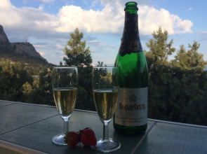 Апартаменты Голицына 19