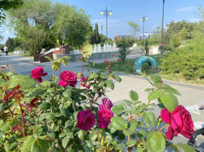 Апартаменты Аквамарин Resort