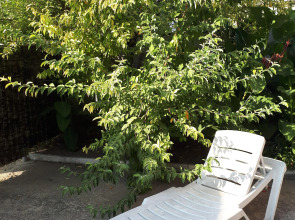 Гостевой Дом Дежавю