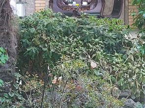 Гостевой дом АКВАРЕЛЬ